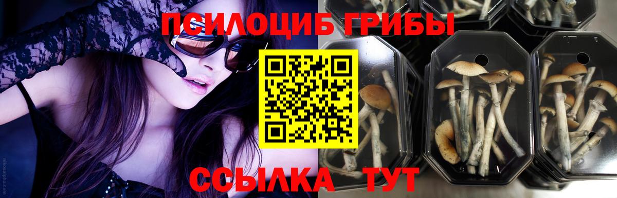 Мытищи  Галлюциногенные грибы ЛСД  Вход с VPN 
